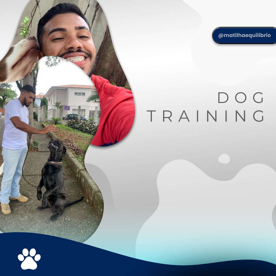 dog training